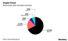 关于“Tokenim 2.0 是否支持